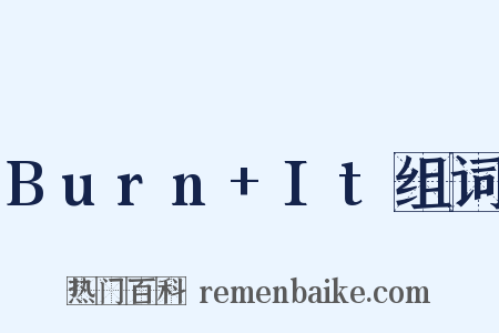 Burn+It组词是什么意思的图片